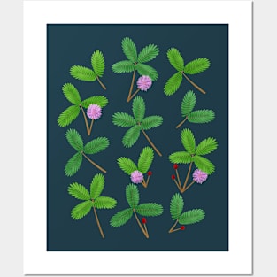 Mimosa Pudica Posters and Art